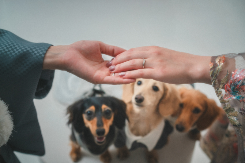 この日ならではのお手元ショット♡