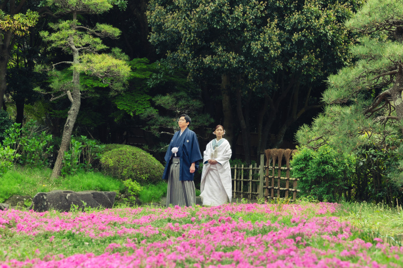 芝桜が咲いてました！