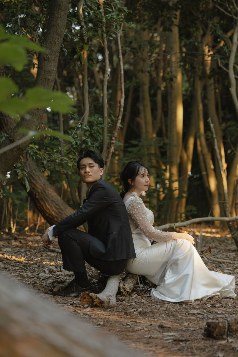 木に座ってひと休み