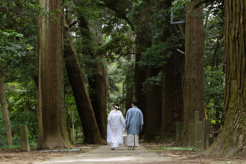 二人を歓迎する木々たち