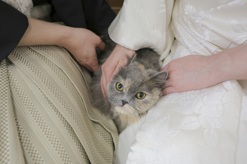 愛猫ちゃんと。