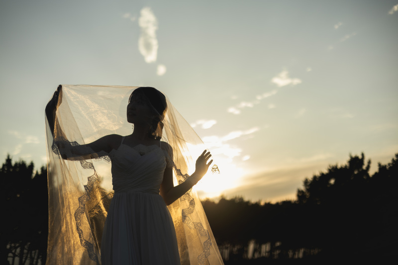 シルエットも美しい