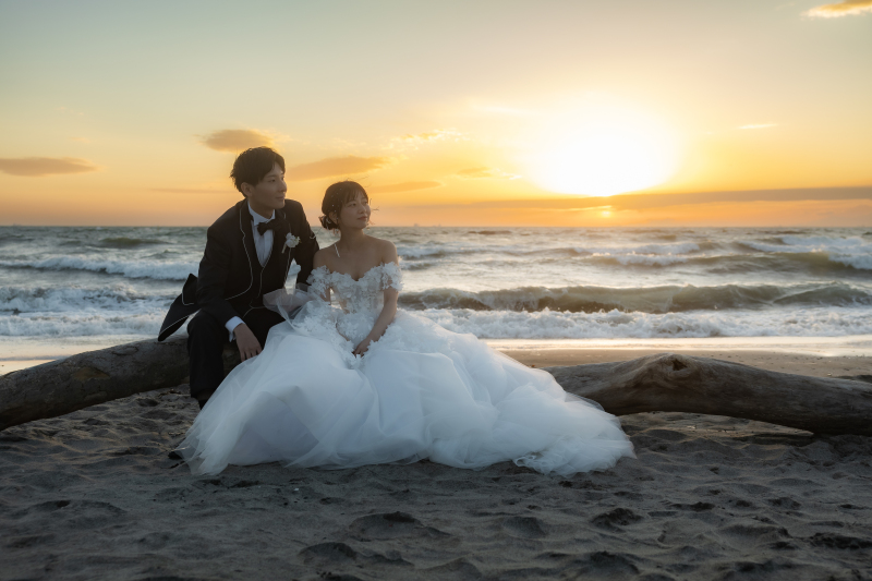 大きな流木に座って