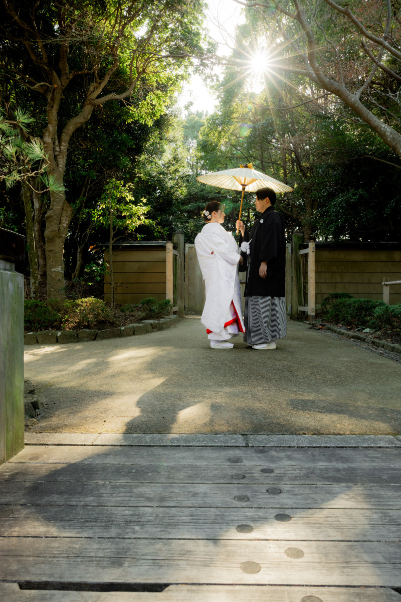 太陽に照らされて