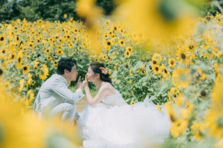 ひまわりロケーション撮影