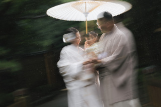 楽しい楽しい雨撮影♩