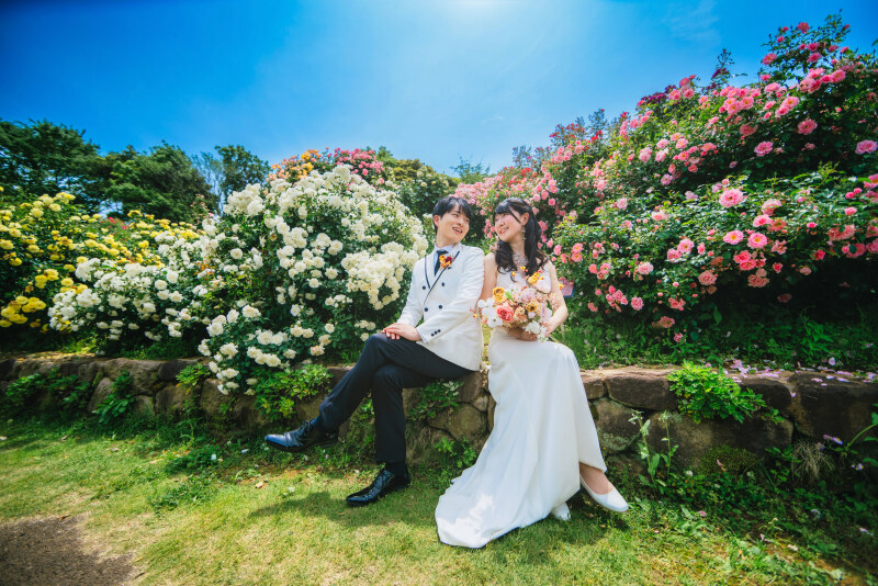 沢山の薔薇に囲まれて