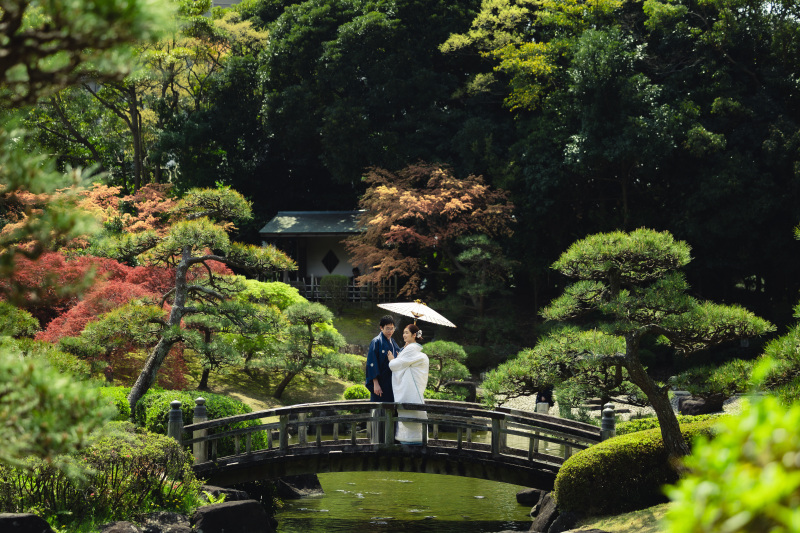 見浜園とハウス撮影！