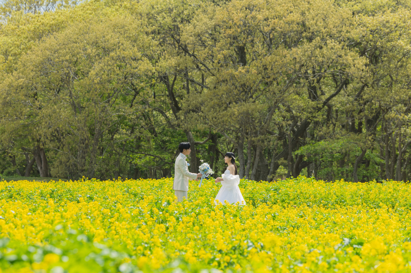 菜の花