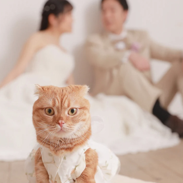 STUDIO AQUA 千葉船橋店（スタジオAQUA）_ペットと一緒に撮影できる