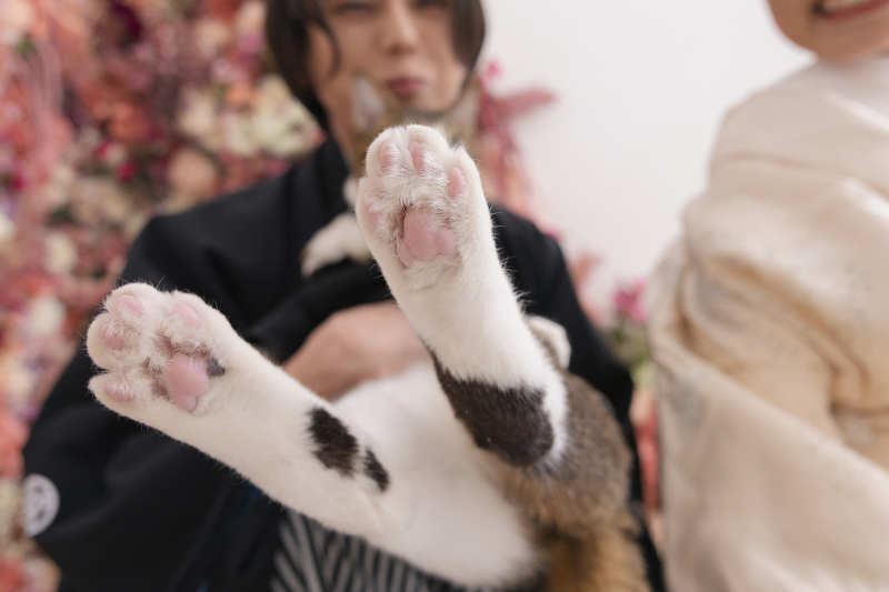 犬・猫だけでなく、いろいろなペットの対応が可能♪