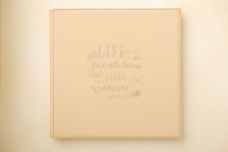 ビゾンテアルバム