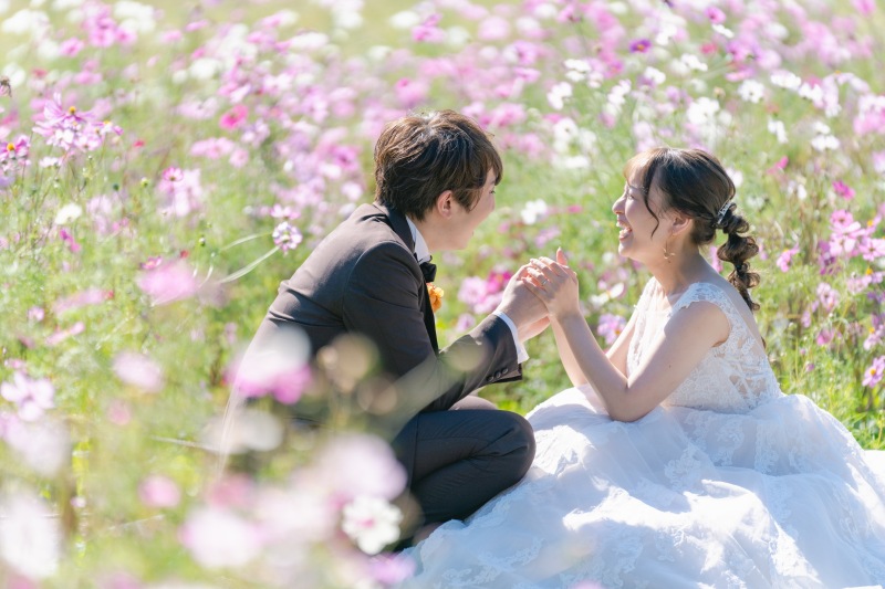 秋にはコスモス畑の撮影も◎