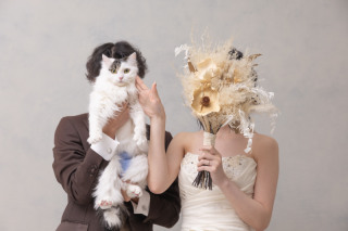 お二人が結婚してから飼われた猫ちゃんと一緒に＾＾鳴き声が可愛過ぎて撮影中もスタッフ一同和みました❤︎