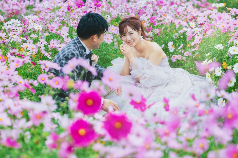 ふなばしアンデルセン公園のコスモスでの撮影