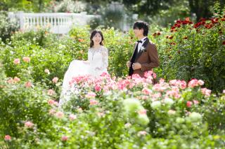 【先着20組限定＊選べる豪華特典付き♡年内のバラの見頃は11月まで！撮影するなら今！】京成バラ園ロケーションプラン