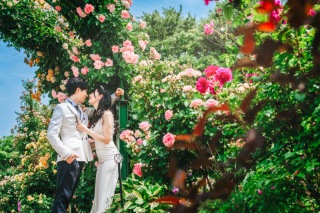 【早割キャンペーン】2026年春ロケが 早めのご予約&セット でお得に!