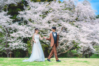 【早割キャンペーン】2026年春ロケが 早めのご予約＆セット でお得に！