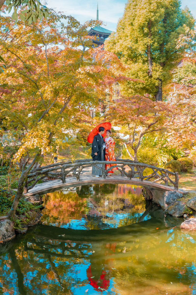 庭園を望む