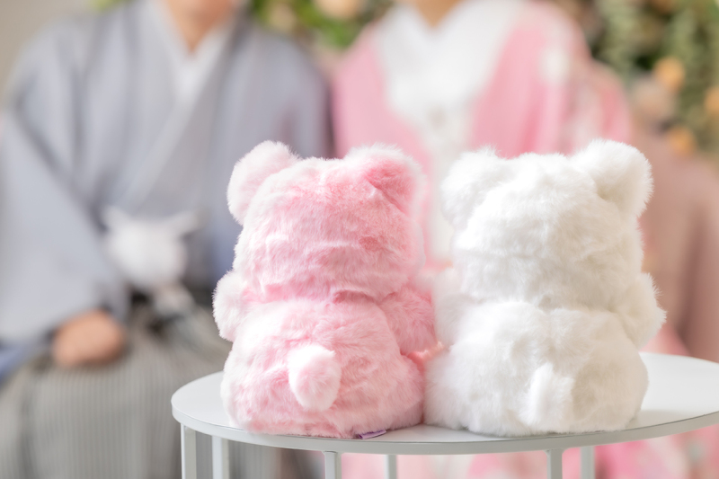 くまちゃん越しの・・・