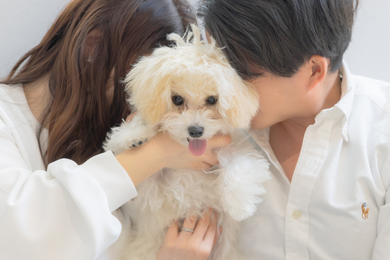 わんちゃんも一緒に♪