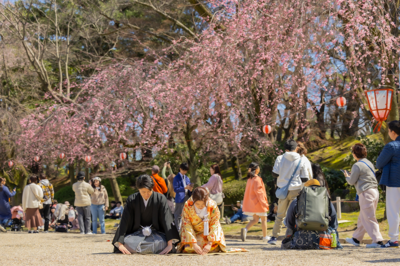 お花見風景の中で・・・