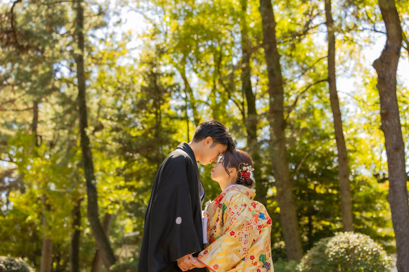 柔らかい雰囲気の写真を。