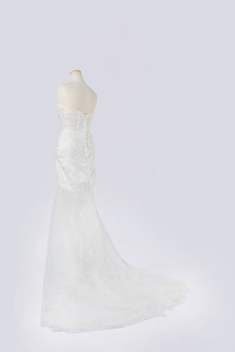 DBW‐020（沖縄本島）