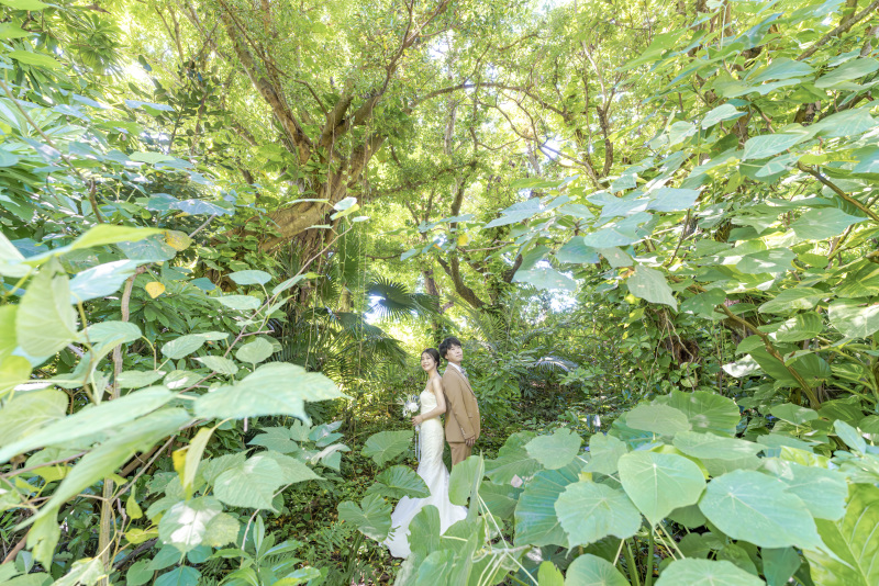 緑に包まれるロケーションへ