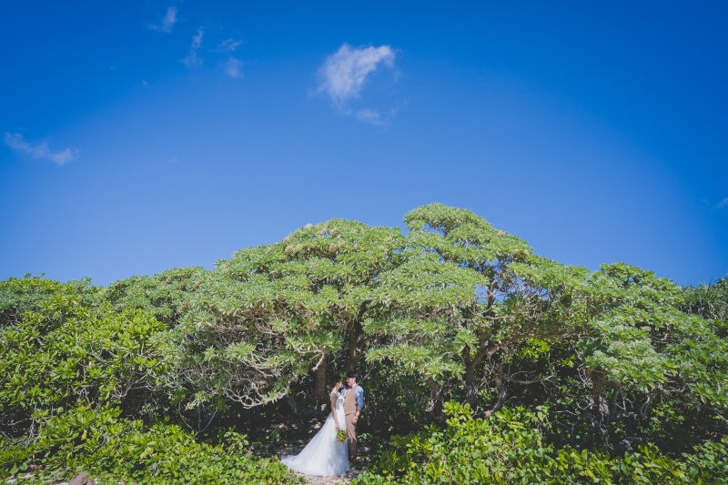 青と緑とおふたりと