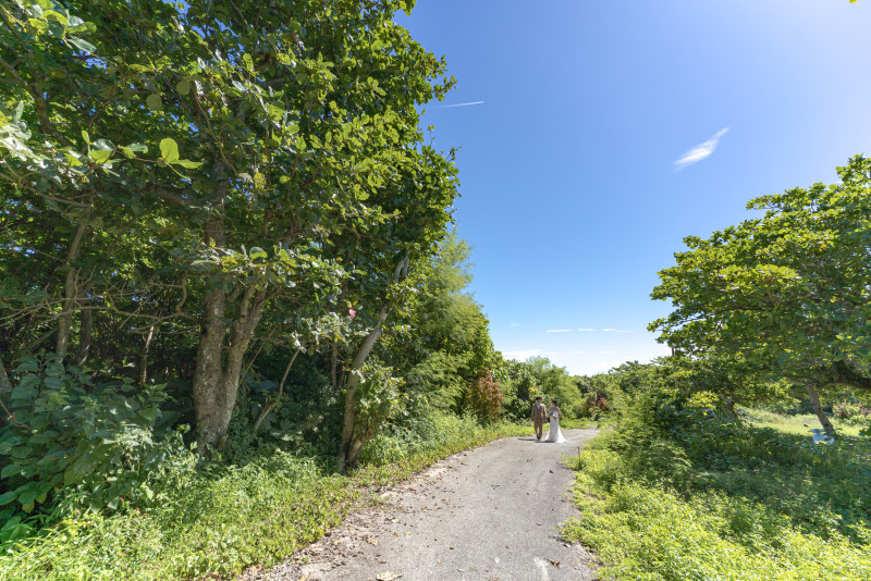 緑の小道から撮影をスタート