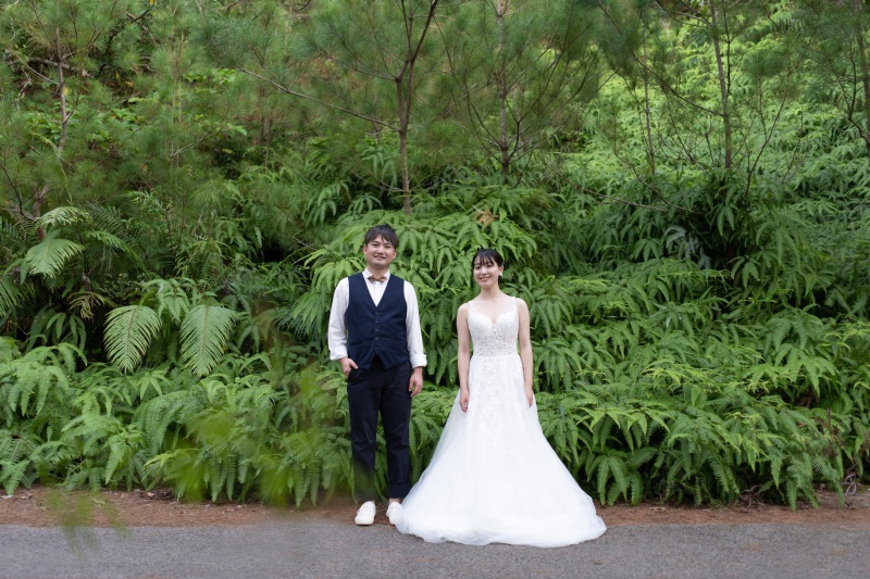 グリーンフォト