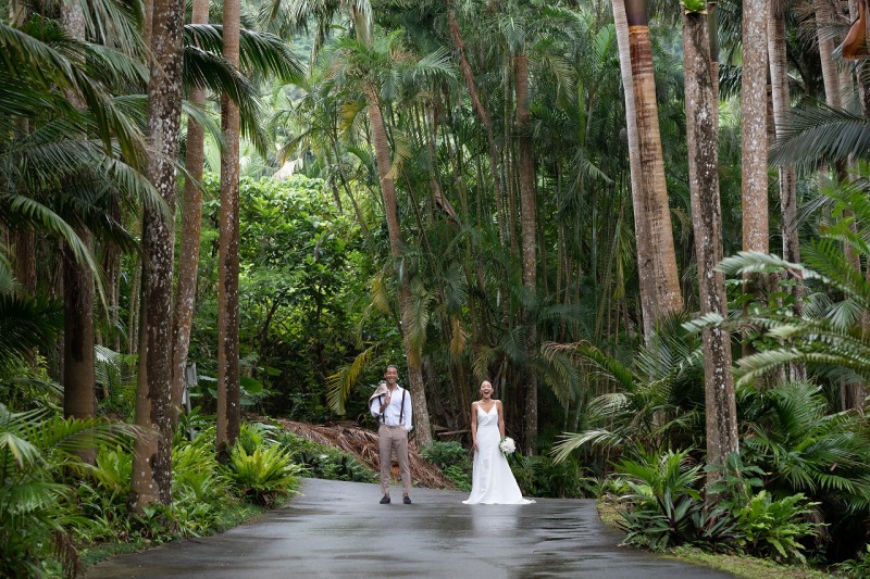 亜熱帯の自然★石垣島のヤシの木