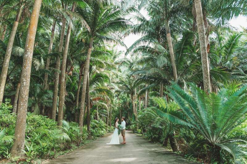 大自然を満喫できるスポットへ