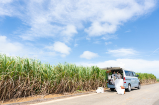 ジャーニーバスで行く海の旅☆宮古島ライトプラン