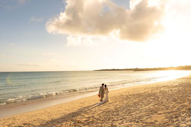 金色に輝く世界へ