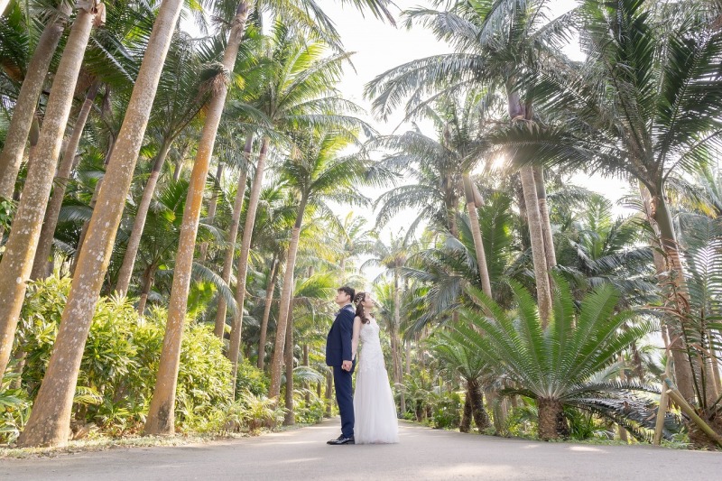 雰囲気を変えて、ヤシの木ロードでの撮影