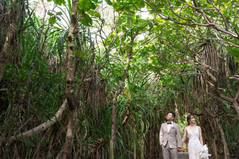 自然のエネルギーを感じて