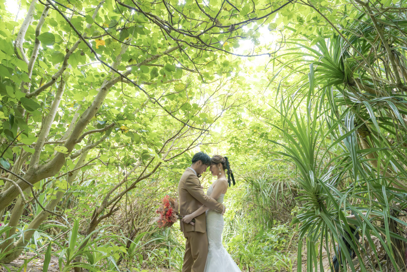 生命力あふれる石垣島の大自然