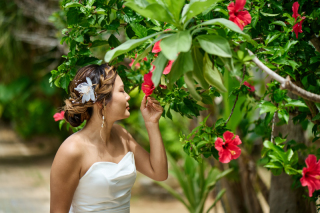 Dears Wedding RESORT