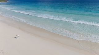 【Casual Plan専用】カジュアルスタンダードムービー