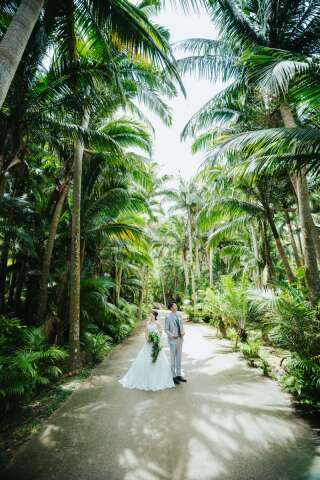 Dears Wedding RESORT_★グリーン★