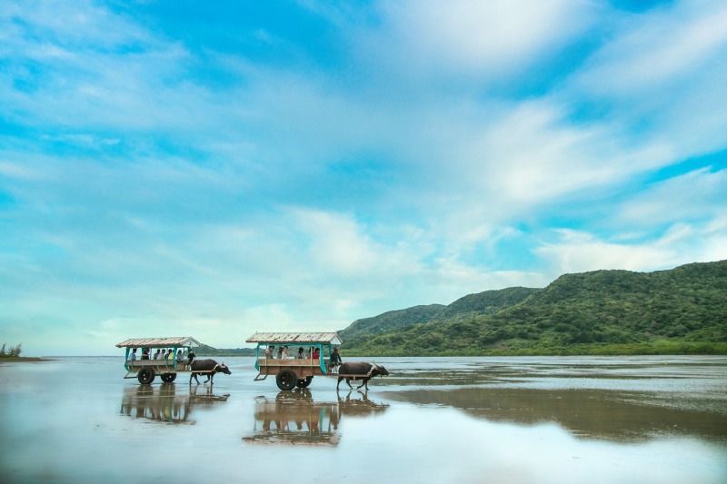 Dears Wedding RESORT_動画を作れる