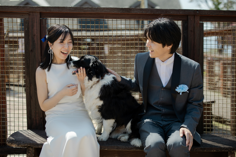 動物ふれあい広場