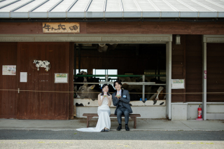 牛さんと人間のゆかいな大草原