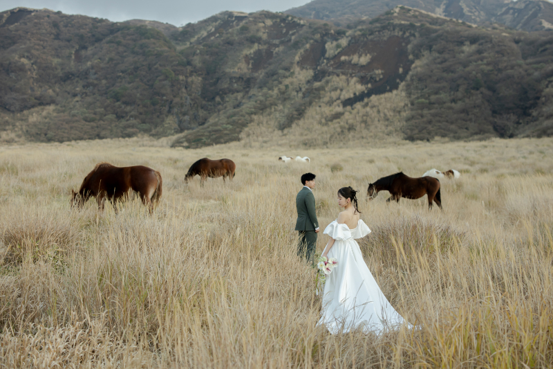 秋の草千里ヶ浜