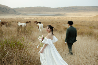 牧歌的な阿蘇の原風景