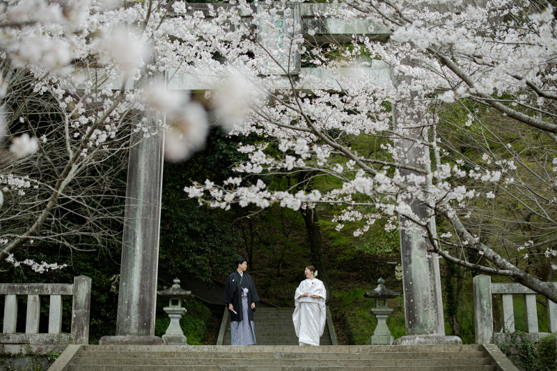 菊池の歴史を繋ぐ神社