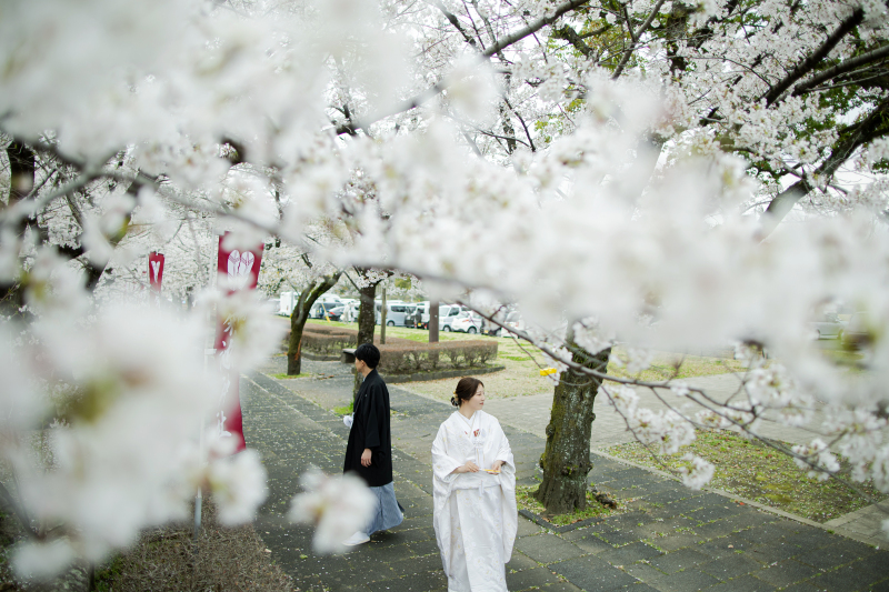春色に染まるロケーション