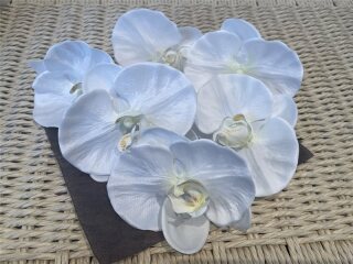 和装ﾍｯﾄﾞﾊﾟｰﾂ/胡蝶蘭(白) 